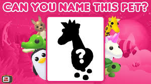 This quiz asks a range of questions including updates potions houses and much more we hope you enjoy this quiz and remember to give it a big smiley face and the end t9. Which Adopt Me Pet Are You Roblox Personality Test Youtube