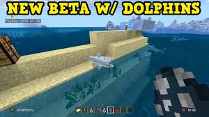 How Do You Feed Dolphins In Minecraft? - Playbite