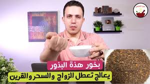 Видео فوائد بخور الحرمل канала منتظر الزعيم. Ø§Ø­Ø±Ù‚ Ù‡Ø°Ù‡ Ø§Ù„Ø¹Ø´Ø¨Ø© ÙˆØ§Ù‚Ø¶ÙŠ Ø¹Ù„Ù‰ Ø§Ù„Ø´ÙŠØ§Ø·ÙŠÙ† Ø¨Ù…Ù†Ø²Ù„Ùƒ ÙˆØªÙ‚Ø¶ÙŠ Ø¹Ù„Ù‰ ØªØ§Ø¨Ø¹Ø© ØªØ¹Ø·Ù„ Ø§Ù„Ø²ÙˆØ§Ø¬ Youtube