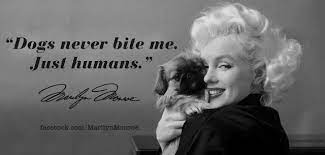 Pin On Quotes Part 1