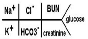 kidney feature lab values