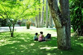 Resultado de imagem para Aniversário da cidade de João pessoa-PB