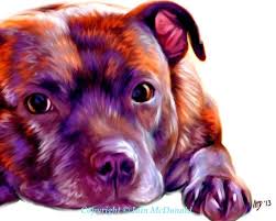 Staffie Art Print 10x8 Staffordshire Bull Terrier Art Pitbull Art Bull Terrier Art Staffy Dog
