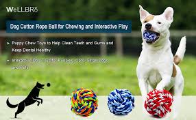 (7/19) 365 colors color card available in stores starting december 2021. Pet Supplies Wellbro Pet Chew Toy Knots Weave Cotton Rope Biting Small Ball For Dogs Cats 3 In One Pack Amazon Com