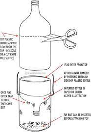 Pin On Fresh Fruit Recipe