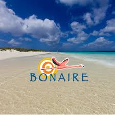 Bonaire is home to many high quality dive operators, whose prime focus is on your dive experience. Bonaire Tourism Bonairetourism Twitter