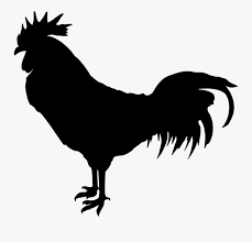 Transparent Rooster Silhouette Png Rooster Silhouette Transparent Background Free Transparent Clipart Clipartkey Rooster on white background farm animals vector. transparent rooster silhouette png