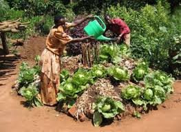 Creating a home gym is a popular use for a garden room. Keyhole Garden How To Build One And 30 Inspirational Ideas For Your Garden Insteading