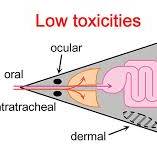 Toxicity of Single-Walled Carbon Nanohorns | ACS Nano