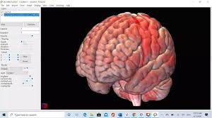 Vintage human anatomy chart with overlays, double sided at. Screencapture Mricrogl Session1 Youtube