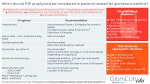 Image result for Pleiotaxis