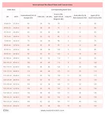 To determine your bra sister size, move your current number (band size) and letter (cup size) by one unit in opposite directions. Bra Size Charts And Conversions Accurate Guide With Images