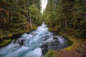 Description make an appointment via the website provided. 500 Free Rapids River Images