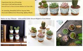 A community dedicated to the discussion of cactaceae species and hybrids. Amazon Com Deluxe Succulent Cactus Seed Grow Kit Complete Indoor Cactus Succulent Kit W Cactus Seeds Potting Soil Ceramic Succulent Pots Water Drip Trays Grow Guide Garden Outdoor