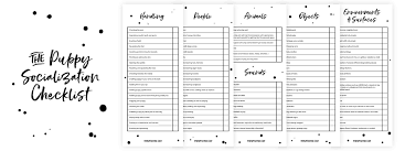 Checklist of things you need, and what you need to do before bringing your new puppy home. Puppy Socialization Checklist By Disruptivedog Puppy Socialization Puppy Socialization Checklist Puppies