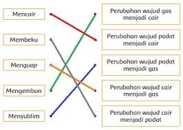 Kunci jawaban tema 7 kelas 5 hal 165 166 167 168 169 170 171 172 173 : Kunci Jawaban Tema 3 Kelas 3 Halaman 160 161 163 164 165 166 167 Lengkap