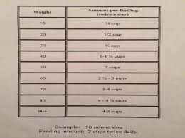 rottweiler food chart beautiful hazardous area