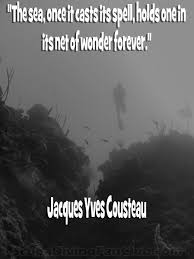 When you dive you begin to feel like an angel. Quotes About Scuba 69 Quotes