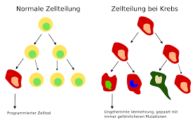 H) seit wann gibt es in deutschland keinen kaiser mehr? Krebs Medizin Wikipedia