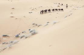 Merzouga is known as the gateway to the sahara desert, particularly the erg chebbi dunes. Morocco S Sahara Desert In March Travel Tips Weather And More Kimkim