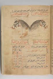 Pin On Manuscript Suwar Al Kawakib Book Of Fixed Star