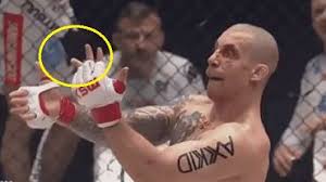 View latest posts and stories by @punchdownfight punchdown in instagram. Ysojhvd4ny4nqm