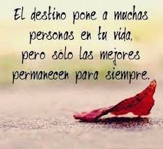 Frases De Amistad Verdadera Citas Sobre Amigos Frases Sabias