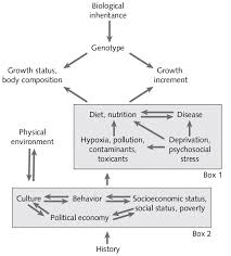 factors influencing growth in childhood and adolescence