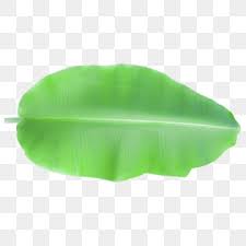 Banana Leaves Png Images Vector And Psd Files Free Download On Pngtree Traditional meal on banana leaf. banana leaves png images vector and