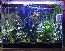 Seachem Flourish – Tropical Aquarium