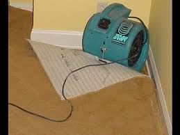 How To Dry A Flooded Wet Carpet Water Damage Flooded Carpet Drying Flooded Basement Basement Living Rooms Basement
