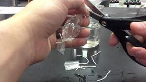 Students would pick up paper hole how is the natural selection simulation on biology simulations different than other options? Lab Protocol Dialysis Tubing Experiments Unit 7 Diffusion Youtube