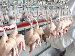 ˈnəgəri səmbiˈlan) is a state in malaysia which lies on the western coast of peninsular malaysia. Sampel Ayam Dari Kilang Di Pedas Bebas Covid 19