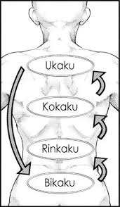 In this video, i show all ro ghoul codes in 2020 june during the douj2 update! What Are Bikaku And Rinkaku In Tokyo Ghoul Quora
