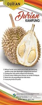 Ia amat terkenal di asia tenggara dengan gelaran raja buah. Mams Mohdasrims Twitter