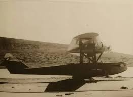 Image result for Avorio 1984 Fleet