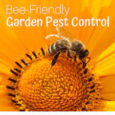 Once blended, shake often while in use to prevent separation. Bee Friendly Garden Pest Control Options Homemade And Happy