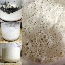 La Masa Madre Inmortal Masa Madre Pan Artesanal Panaderias