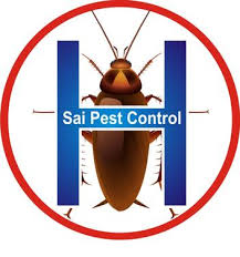 Indiranagar, hebbal, sadashivnagar, ulsoor, vasantnagar, benson town, malleswaram, hrbr layout, banaswadi. Sai Pest Control Service Bangalore Pest Control Service In Marathahalli Outer Ring Road Bangalore Click In