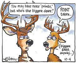 just for kids how do you count antler points outdoors