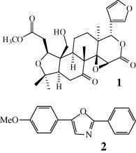 Image result for Vepris renieri