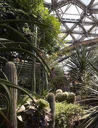 We did not find results for: New Botanical Garden In Sharjah Uae E Architect