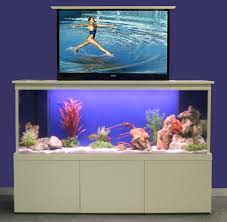 tv concealed in aquarium aquarium design fish tank decorations aquarium stand