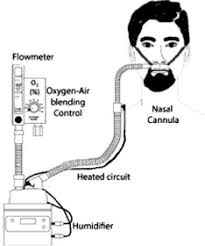 Image result for Moderate Flow Oxygen