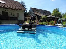 Swimming Pool Diy Pool Dog Dog Ramp Dog Stairs Dog Pool Pool Pool Steps Inground