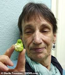 Sprout spared from the pot