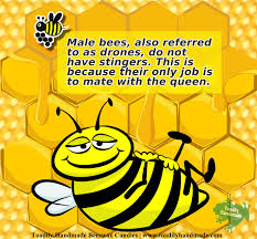 Birds And The Bees Lyrics Idk Beeswax Candles 100 Natural Toadily Handmade Bee Facts Bee Friendly Male Bee