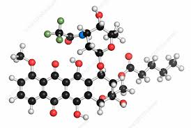 Image result for Valrubicin