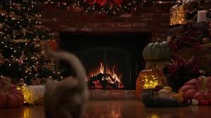 Do you like to know directv channel list in numerical order? Fireplace Video Hallmark S Happy The Dog 24 Hours Of Yule Log People Com