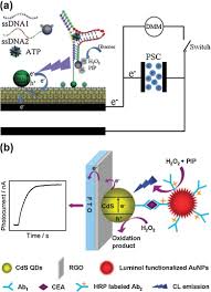 Sensitive detection and quantification of hmtd, one commonly used explosive by terrorists, was presented first in this dissertation on the basis of ecl technology coupled with silver nitrate (agno3) enhancement in acetonitrile (mecn) at a pt electrode. Graphene Materials Based Chemiluminescence For Sensing Sciencedirect